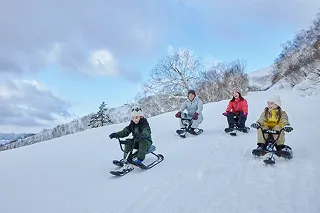 children-riding-sleds