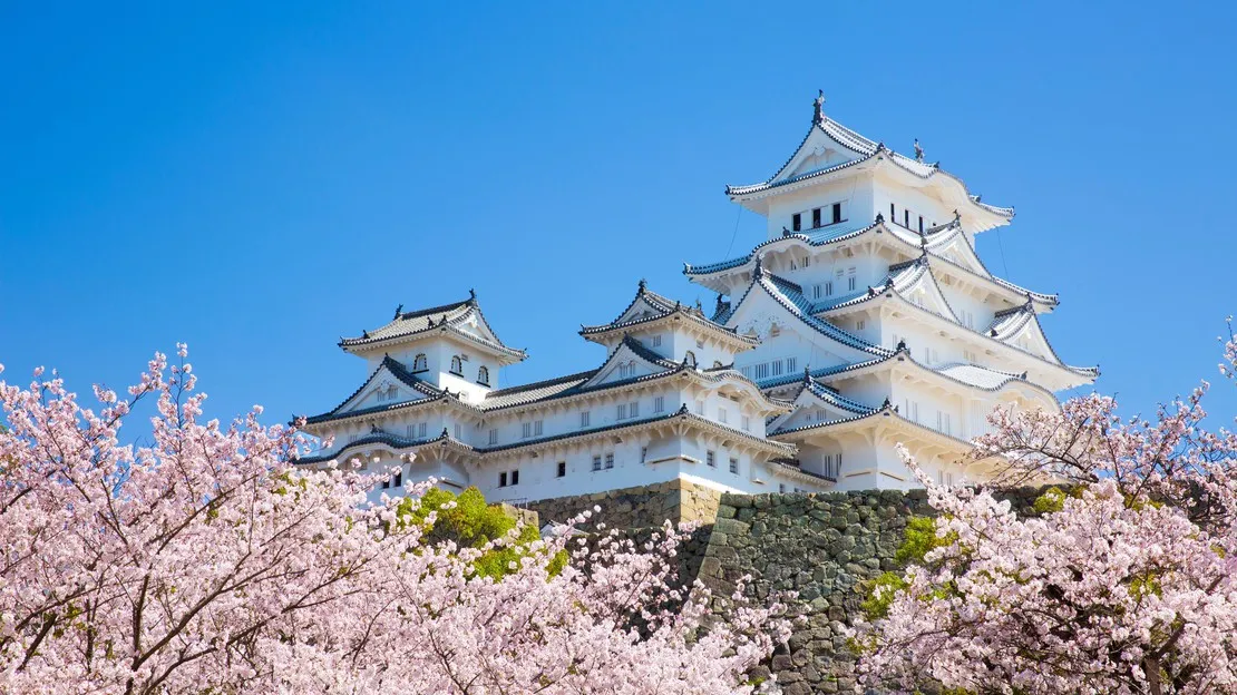 Himeji Castle Day Trip by Private Car from Osaka (6 Hours) | Himeji Castle, Koko-en Garden, Otemae Street