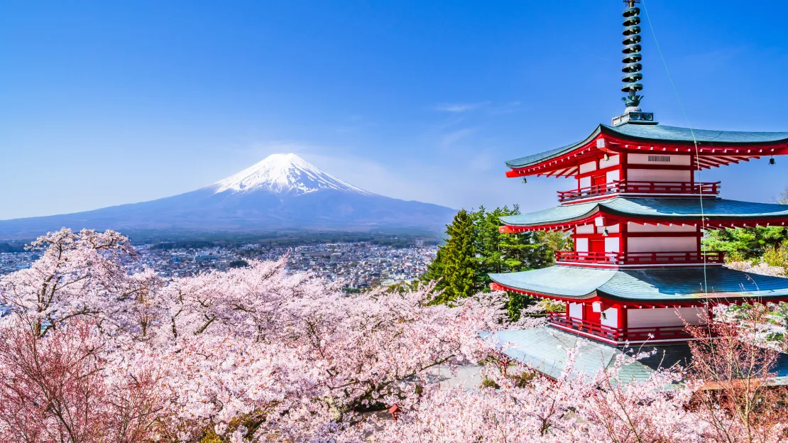 富士山五合目・河口湖一日包車10小時｜大石公園・忠靈塔