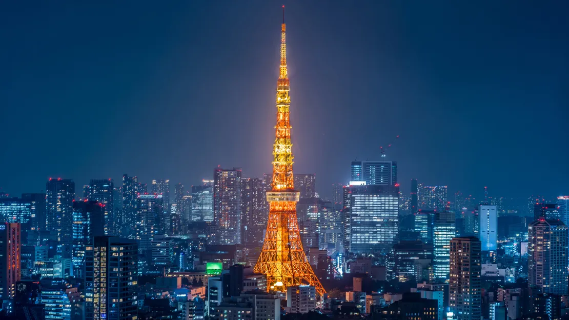 Tokyo Night View Private Car Tour — 3 Hours with a Private Driver