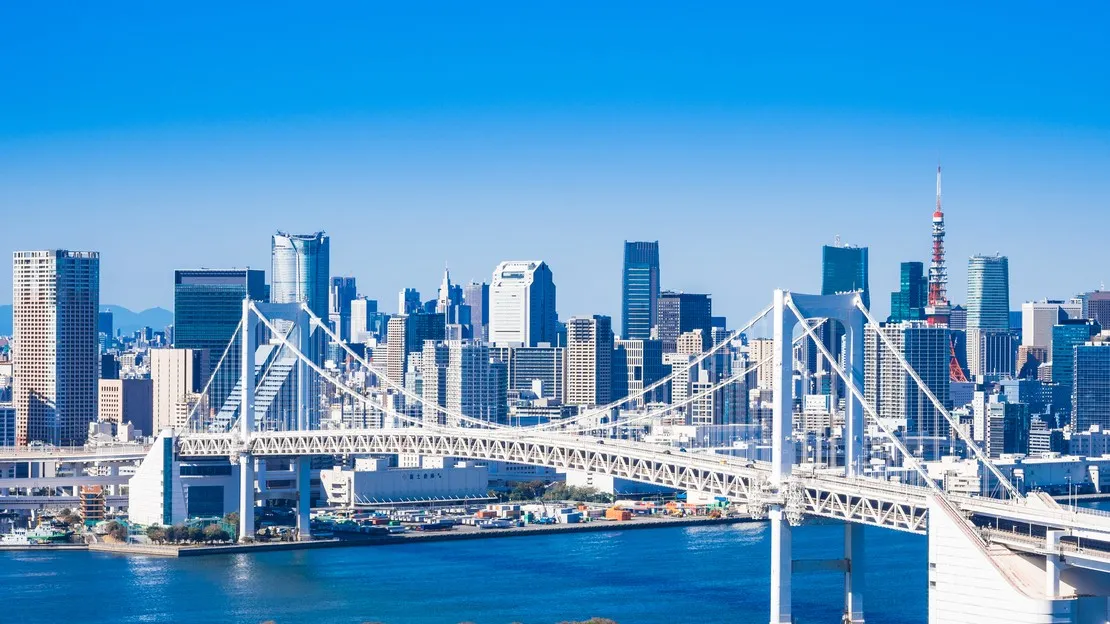Haneda Airport Private Car Transfer & Sightseeing (4 Hours) | Odaiba & Tokyo Tower