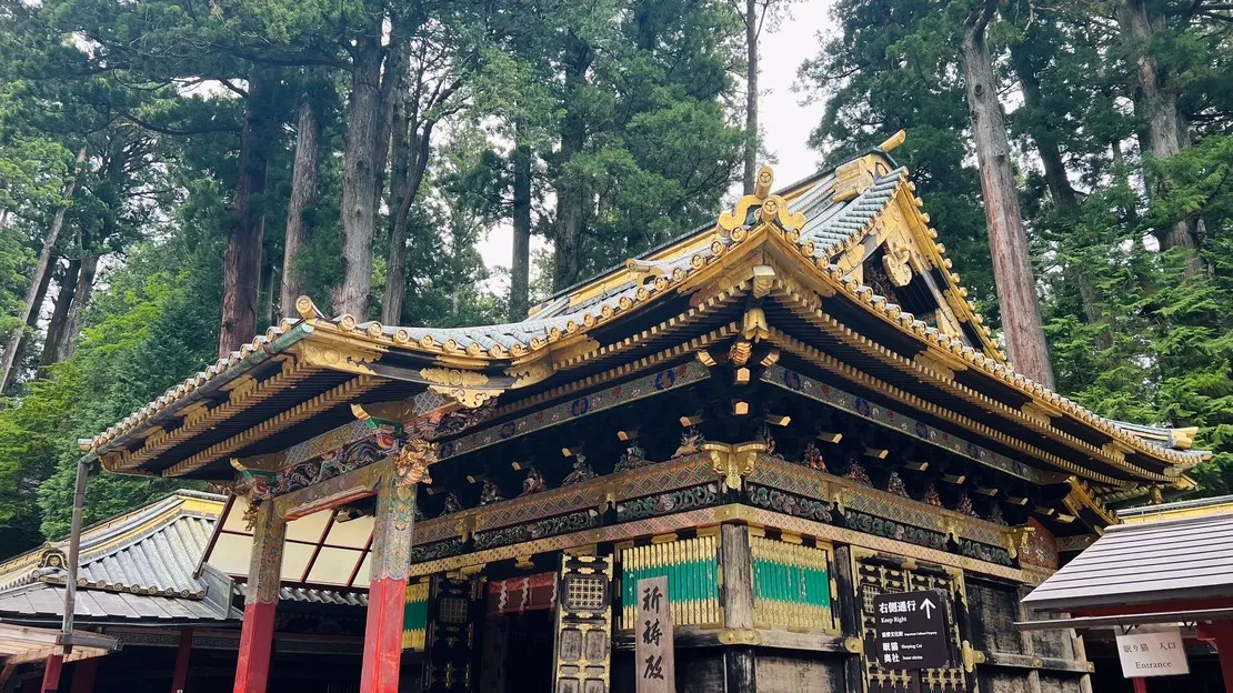 Nikko Private Car Day Tour (10 Hours) | Toshogu Shrine, Irohazaka & Kegon Falls