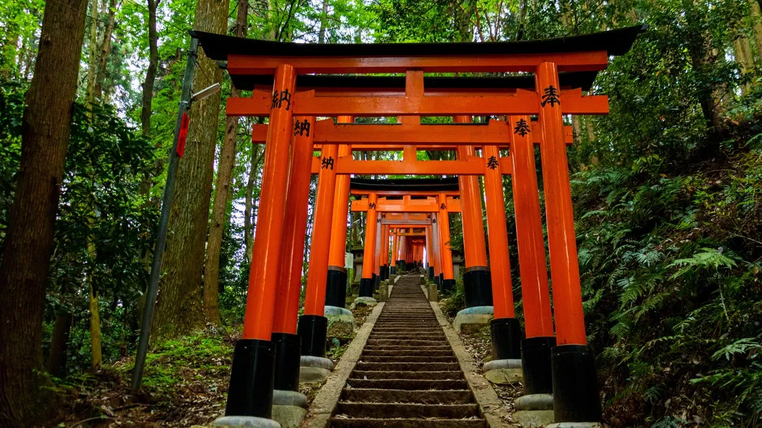 Kyoto Early Morning Temple Tour by Private Car (4 Hours) | Fushimi Inari, Kiyomizu-dera, Yasaka Pagoda, Kinkaku-ji
